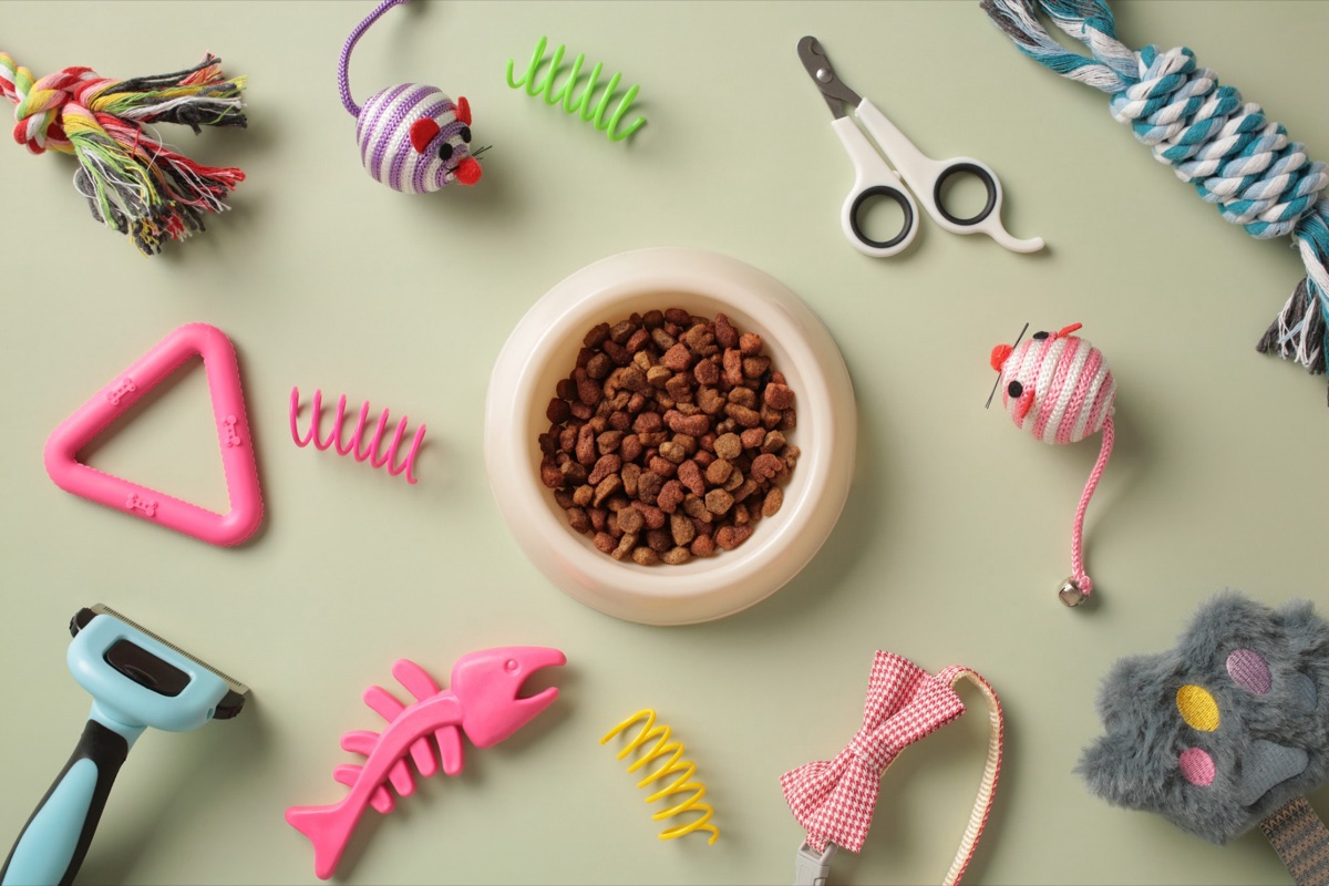 Pet products laid out around a bowl of kibble: toys, bowls, a brush and a bow tie